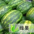 内蒙古达拉特旗新红宝：白泥井刘瑞