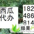 甘肃靖远丰抗以上市