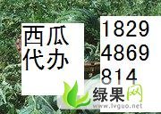 甘肃靖远丰抗以上市