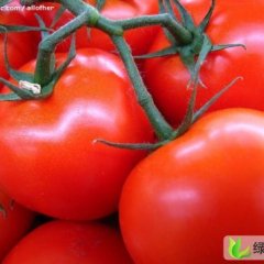 浙江瓯海：小陈