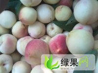 辽宁宽甸秋白桃：长甸镇刘崇明