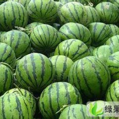 黑龙江北林京欣：红旗乡密晶良