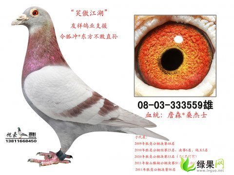 8424西瓜价格