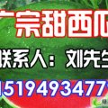河北广宗京欣：盐场村刘先生