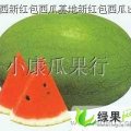 渭南市大荔县党力康：新红包西瓜价格行情