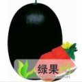 河南开封金明区黑金刚：杏花营赵玉太