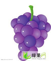 山东东昌府腾稔：沙镇程董怀延