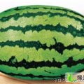 湖北钟祥冠龙：老九里小赵