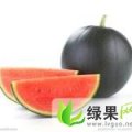 陕西华阴黑皮无籽：华西镇陈宝山