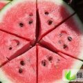 河北巨鹿京欣：大屯头孙小丹