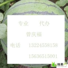 绥化市红旗是西瓜产地，有868、182等系列品种