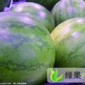 山东章丘抗封三：高官寨张雷
