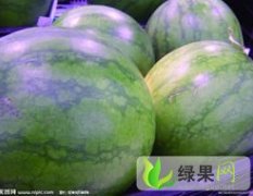 山东章丘抗封三：高官寨张雷