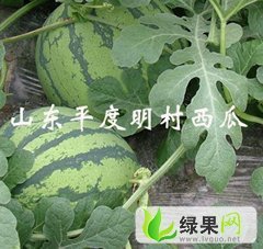京欣价格