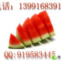 陕西合阳荃银佳龙：马家庄车银善