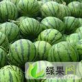 山东惠民京欣：李庄镇周先生