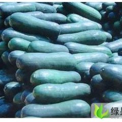 山东郯城子弹头黑皮冬瓜：红花小马敬民