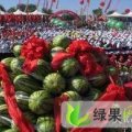 宁夏中卫硒砂瓜热卖中