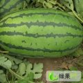 山西忻府京欣：忻州开常鸿