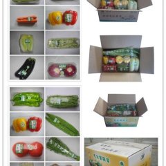 山东寿光有机蔬菜：田柳镇寇经理