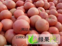 河南延津硬粉：粉红西周法明