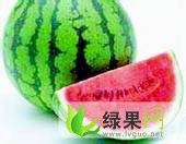 花皮无籽价格