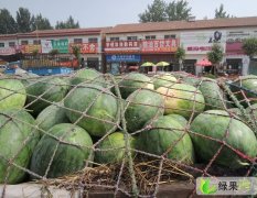 河南扶沟龙卷风：尚村岗齐明山