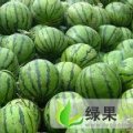 山西产地西瓜价格