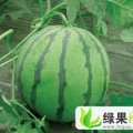 安徽固镇：石湖西小徐
