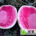 因父车祸受伤故低价处理果园西瓜
