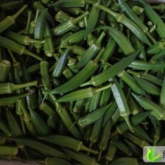 浙江越城黄秋葵卡里巴：皋埠镇吴海伟