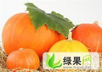 辽宁凌海紅栗小南瓜：凌海市李建宇