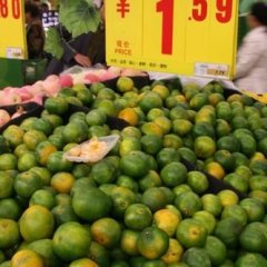 云南华宁温州蜜桔：盘溪镇黄海涛