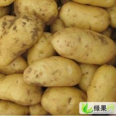 山东平度露天荷兰十五，郭庄镇l刘典辉