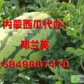 内蒙古乌拉特前旗西农八号