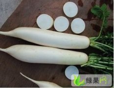 四川邛崃聚和农业韩国萝卜