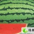 内蒙古科尔沁冠龙：庆和镇宁晓明