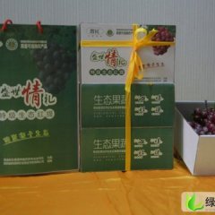 陕西临渭京亚葡萄：渭南市魏涛