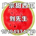 河北广宗连冠：盐场村刘先生