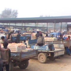 山东东昌府欧冠：侯营镇宋先生