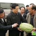 宁夏沙坡头兴仁镇小蒋