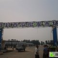 开封杏花营榆园西瓜批发大市场李东亚