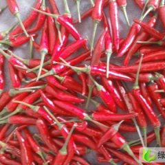 四川三台朝天椒：新德苏青