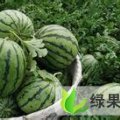 山西忻府京欣：义井王志勇