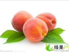 山西垣曲本县种植园基地特供优质桃子10吨