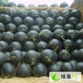 湖北钟祥黑皮无籽：龚集村曹太平