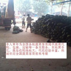 河南开封竖岗镇后付村黑皮冬瓜