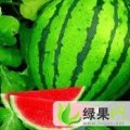 安徽颖上西农8号等：黄桥镇刘士才