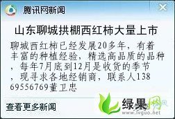 供应高端硬粉西红柿