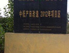 内蒙古乌拉特前旗西农二号：苏独龙王先生